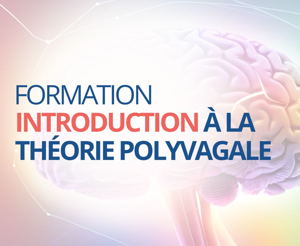 introduction theorie polyvagale